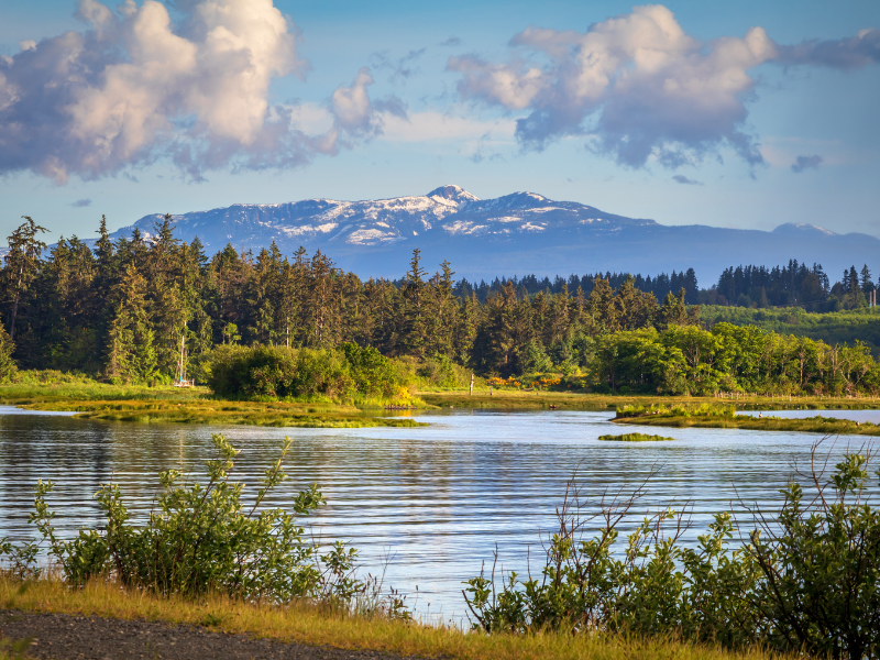 British Columbia: Vancouver, The Sunshine Coast & Vancouver Island — 6